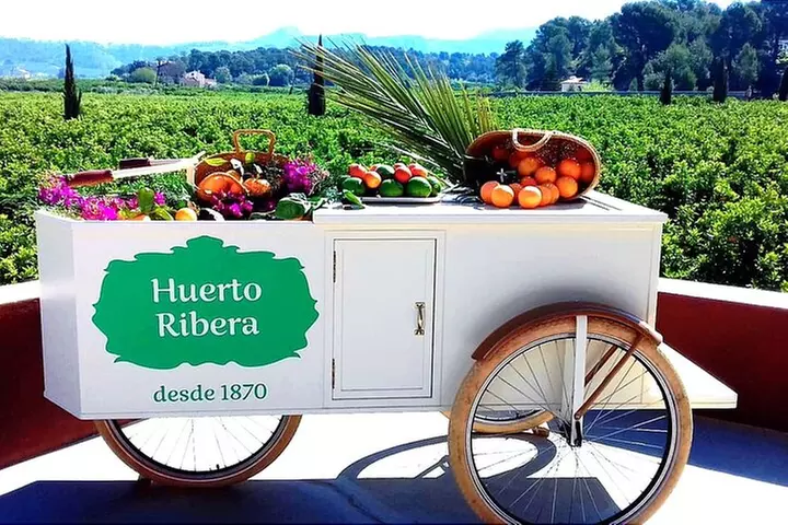Vive una Experiencia Entre Naranjos en Huerto Ribera