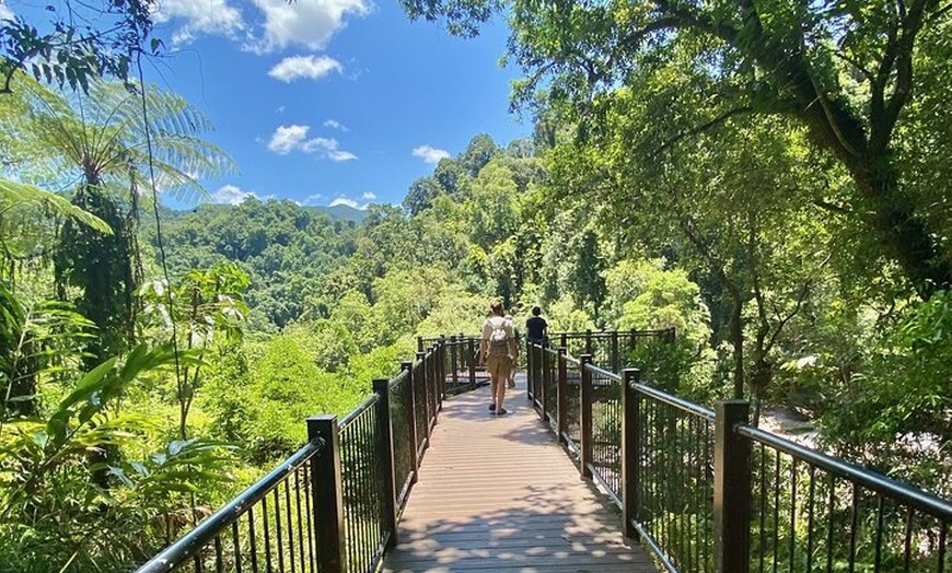 Image 6: Cassowary Coast Goondoi Culture Tour