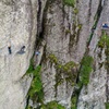 Image 13: Via Ferrata Adventure at 2 Hrs from Mexico City