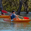 Image 1: Guided Kayak Tour