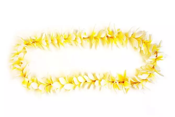 Plumeria Airport Lei Greeting (Maui, Kahului Airport, OGG) - Primary Image