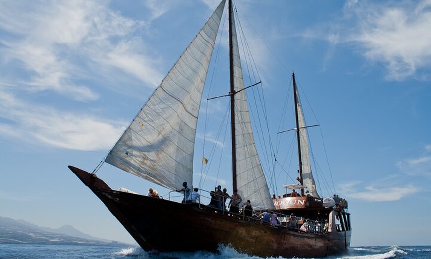 Image 9: Safari de ballenas hasta Los Gigantes con recogida desde Norte