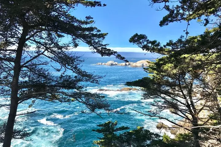 17-Mile Drive,Carmel & Monterey Day Trip from San Francisco