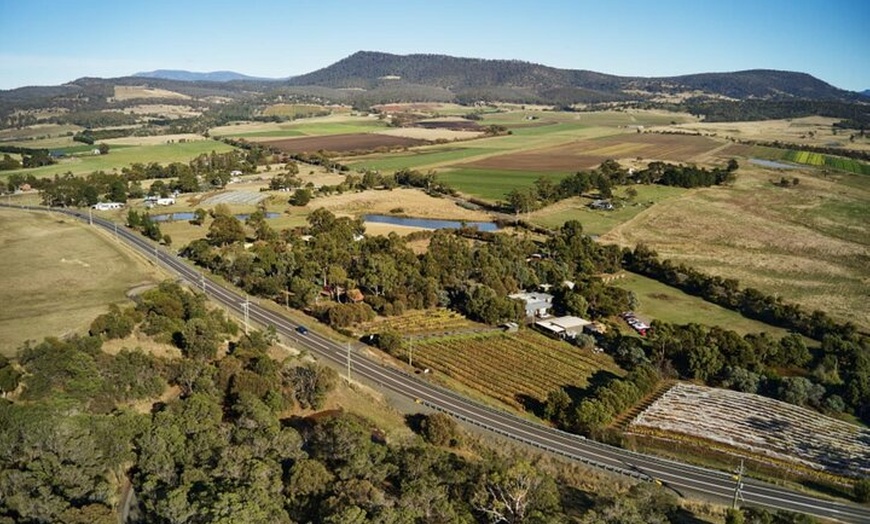 Image 7: Wine Tasting Experience at Every Man and His Dog Vineyard