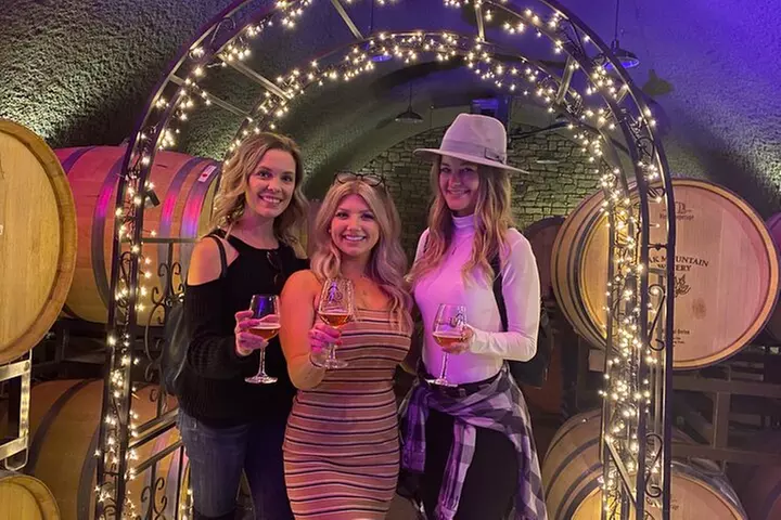 Private Temecula Wine Tour - Lake Elsinore - Primary Image