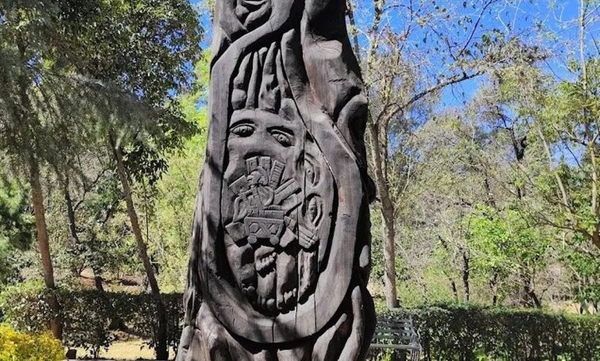 Image 13: San Miguel De Allende Self Guided Audio Experience