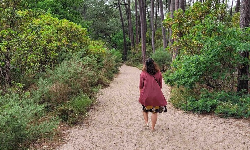Image 3: Visite privée à Dune Du Pilat et Oyster Village