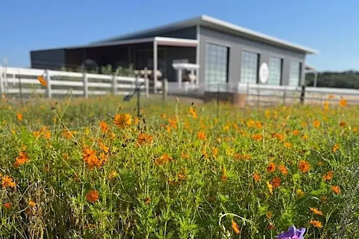 Become a Ranch Hand for a Day in Fredericksburg