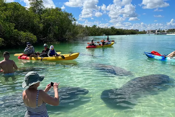 Kayak and SUP Rentals - Big Hickory Island - Fort Myers Beach, FL