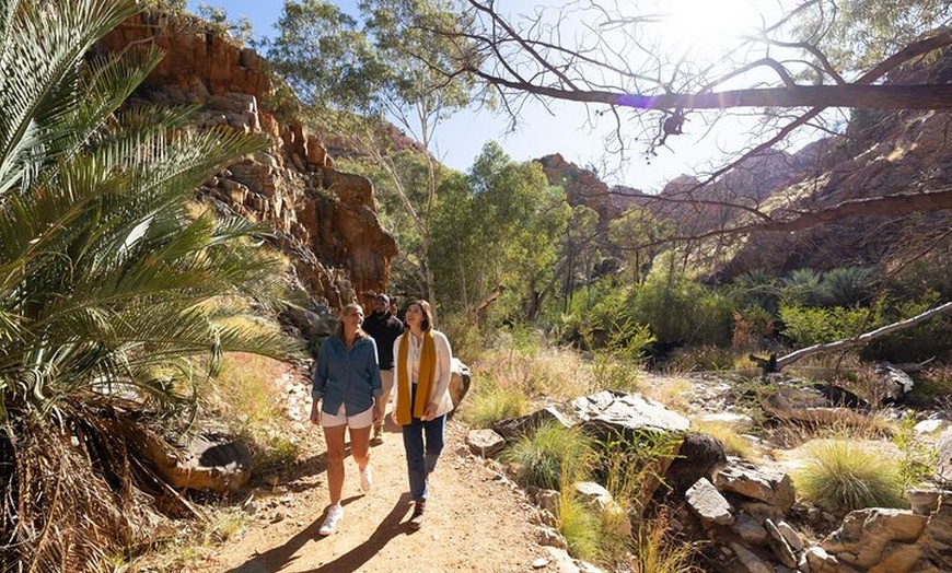 Image 7: West MacDonnell Ranges & Standley Chasm Day Trip from Alice Springs