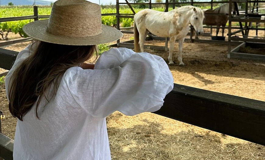 Image 9: Ibiza: Experiencia privada de naturaleza a caballo