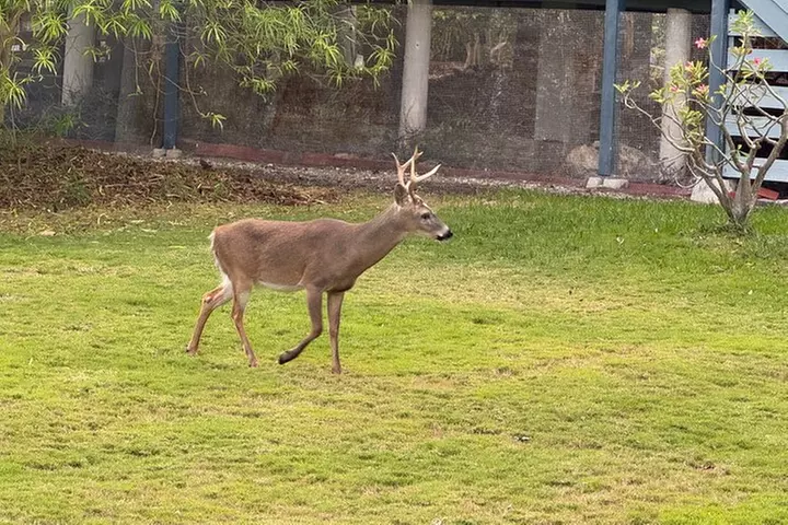 Private Full-Day Tour of Florida Keys from Miami/FLL to Key West