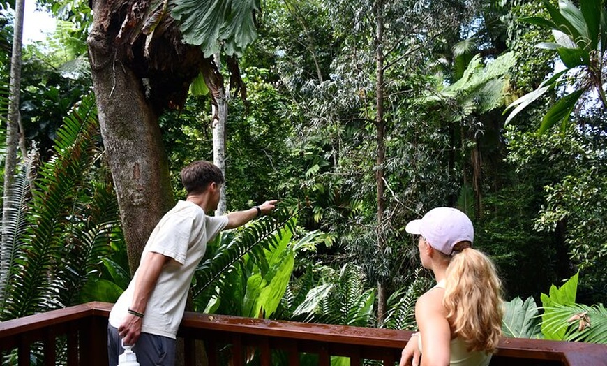 Image 10: Explorer Tour by Cairns Waterfalls