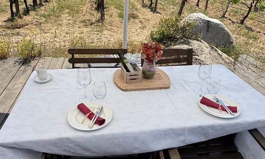 Image 23: Gaudí Unveiled & Premium Wine Escape - Tour Privado