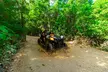 4-Hour Cancun Jungle Buggy Tour with Zipline Circuit & Cenote - Second Medium