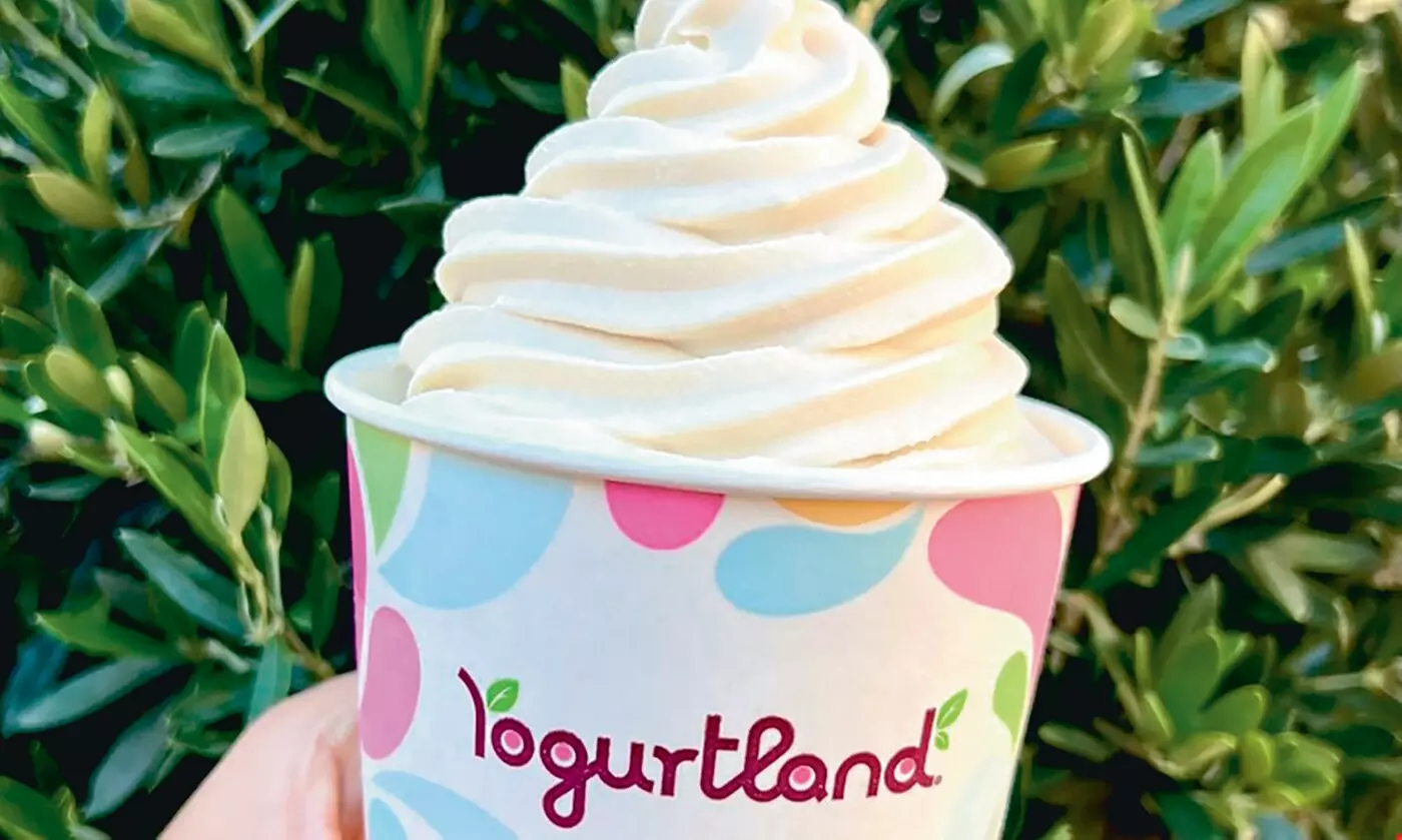 $10 for $20 Worth of Yogurt & More