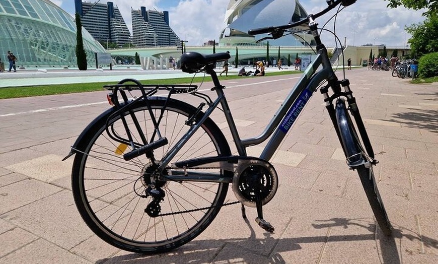 Image 6: Recorrido en bicicleta por el casco antiguo y los jardines del Turia