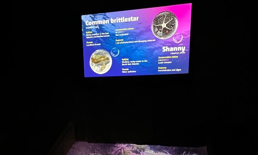 Image 17: Luxury Private Tour in London