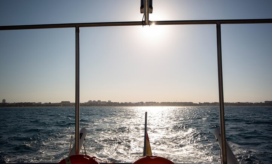 Image 7: Excursión en Barco al Atardecer desde el Puerto de Valencia