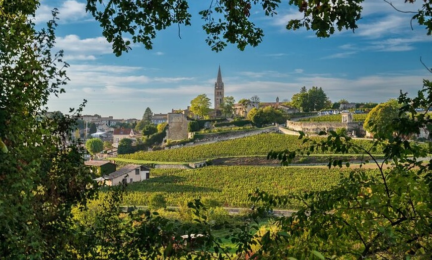 Image 2: Visite privée d'une journée complète de Saint-Émilion et du Médoc