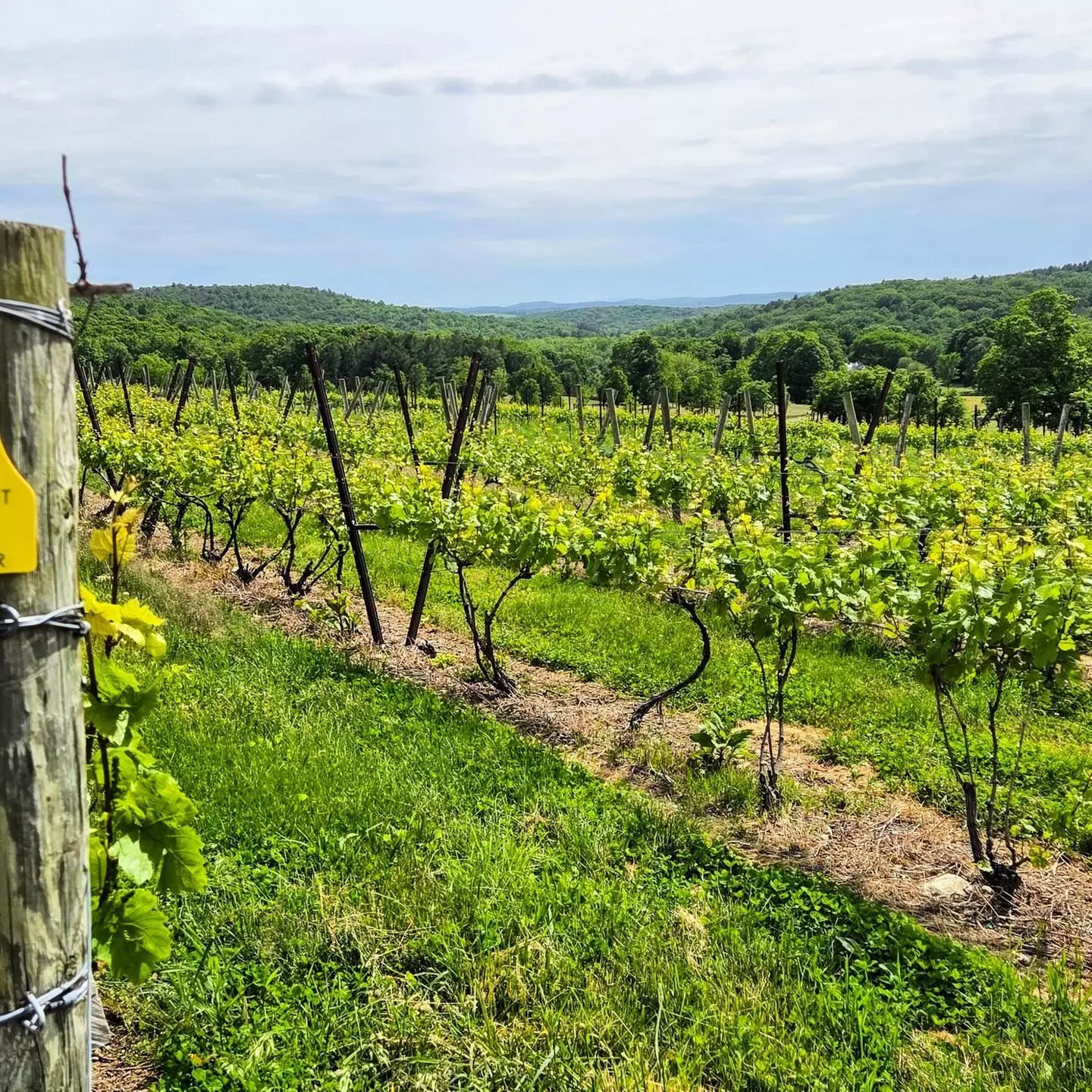 $21 For A Portfolio Wine Tasting for 2 People (Reg $42.)