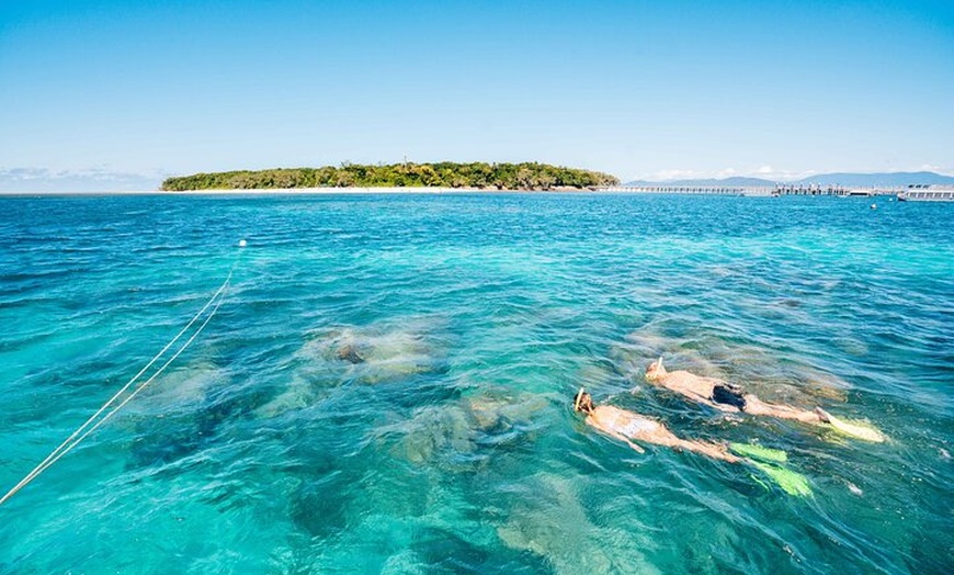 Image 3: 1 Day Green Island & Green Barrier Reef Day Tour from Cairns