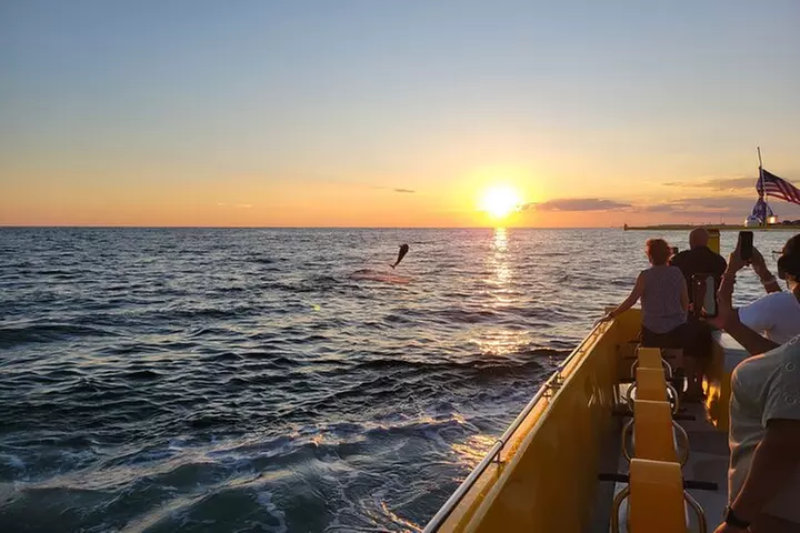 Dolphin and Sunset tour aboard the Hydro Rocket - Primary Image