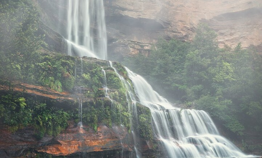 Image 37: PRIVATE Blue Mountains Scenic World Australian Wildlife & Cruise