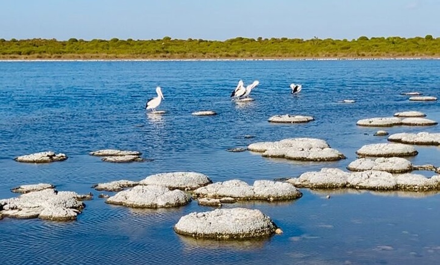 Image 16: 4WD Pinnacles Desert Turquoise Coast and Sand Boarding Adventure