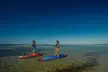 Stand-up-paddle sur Laguna de Thau, location, Sete - Image 2
