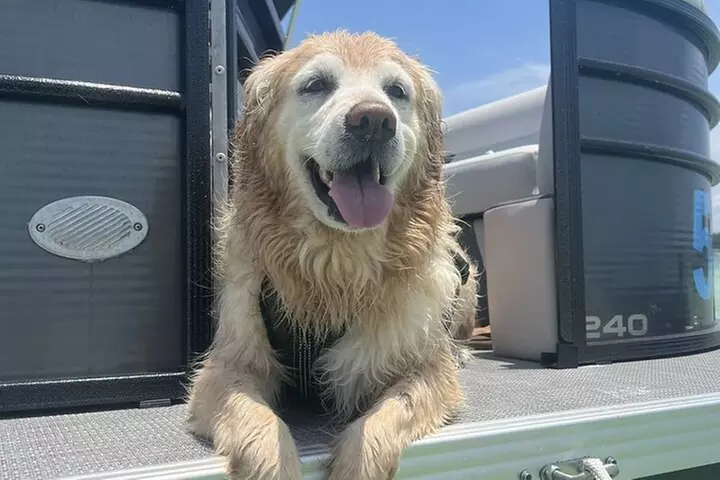 Xtreme H2O 12 Passenger Pontoon Rental Adjacent to Crab Island - Image 6
