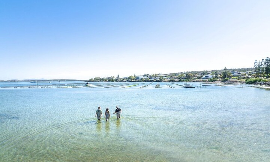 Image 5: Port Lincoln and Coffin Bay Day Tour