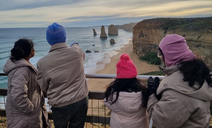 Image 11: Great Ocean Road Small Group Tour with Dingos, Sparkling & Lunch