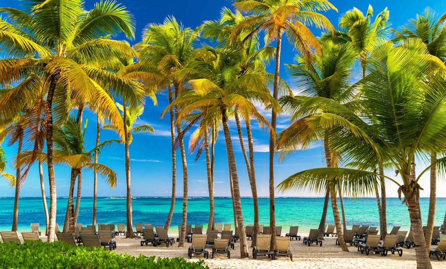 Image 7: ✈ RÉPUBLIQUE DOMINICAINE | Punta Cana - L'essentiel de la Républiqu...