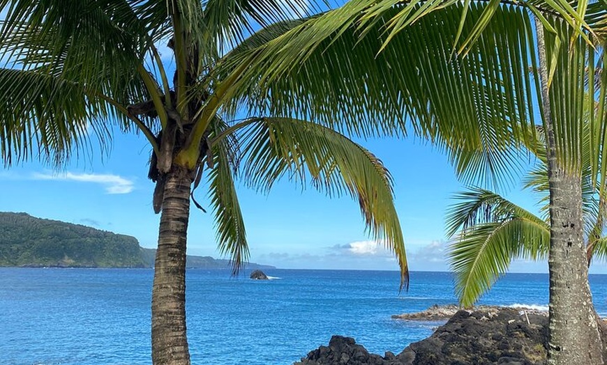 Image 7: Halfway to Hana Sightseeing Adventure