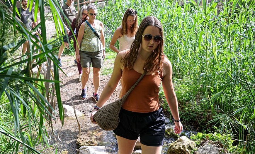 Image 19: Valencia: Aguas Termales de Montanejos y la Cascada de la novia