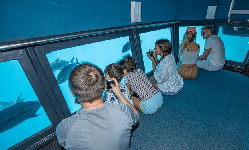 Image 9: 1 Day Green Island & Green Barrier Reef Day Tour from Cairns