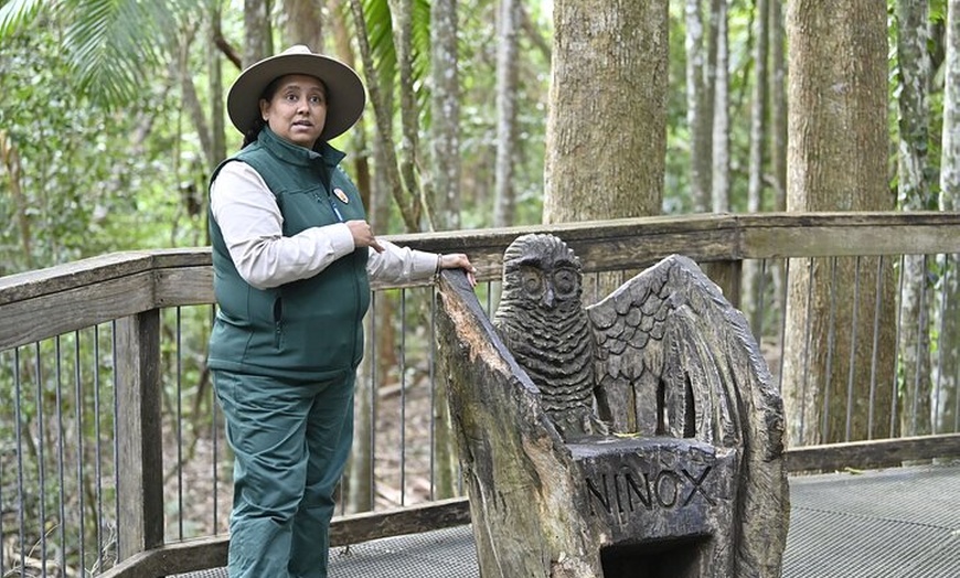 Image 5: Sea Acres National Park: Sea Acres Aboriginal Coastal Tour