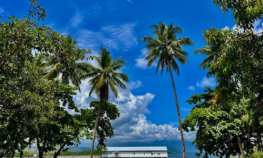 Image 22: Private Guided Tour in Port Douglas and Surrounds
