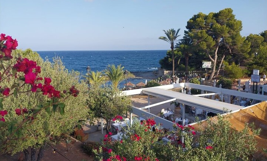 Image 13: Calas de Alicante. Tour Privado de Jávea, Altea y Moraira