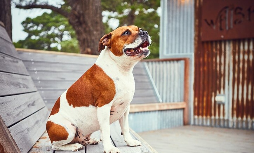 Image 8: Discover Bellarine Wine, Cider and Craft Beer with Private Bus