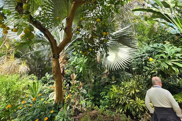 Lincoln Park Nature Museum and Zoo Public Walking Tour