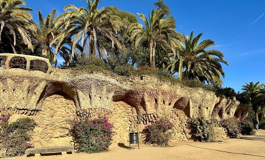 Image 5: Exclusiva visita guiada por Park Guell con acceso rápido