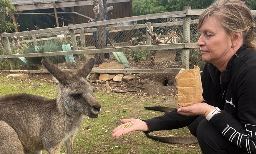 Image 8: Tasmanian Local Private Guiding Service.