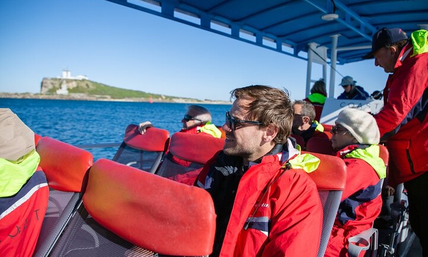 Image 29: Humpback Whale Encounter Tour from Newcastle