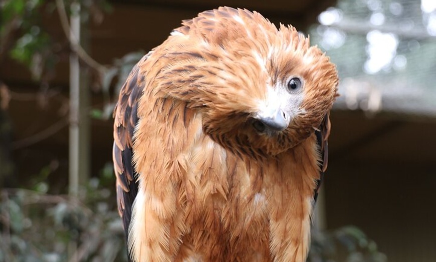 Image 29: Blue Mountains Private Tour