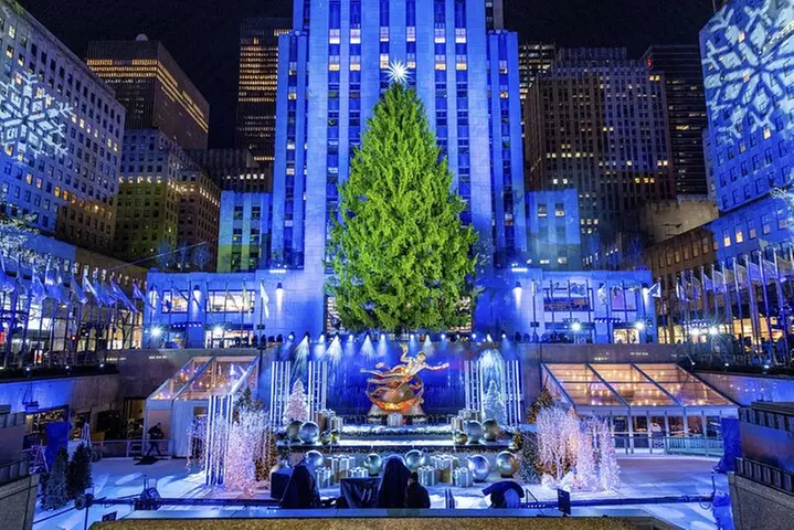 Christmas Light Private Carriage Ride New York City - Primary Image