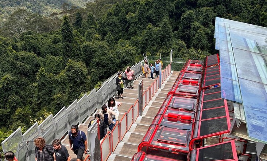 Image 13: Blue Mountains Private Group Day Tour from Sydney