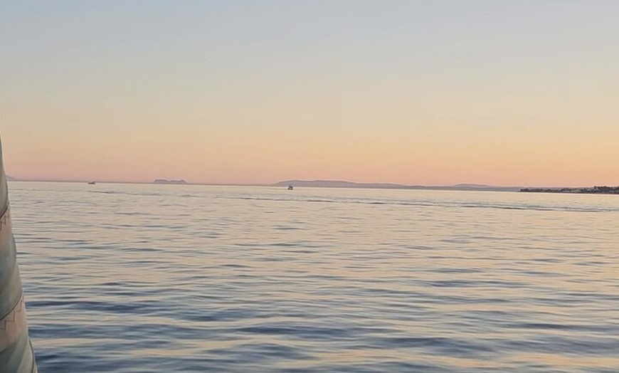 Image 13: Marbella: Crucero al atardecer en catamarán con aperitivos y bebidas
