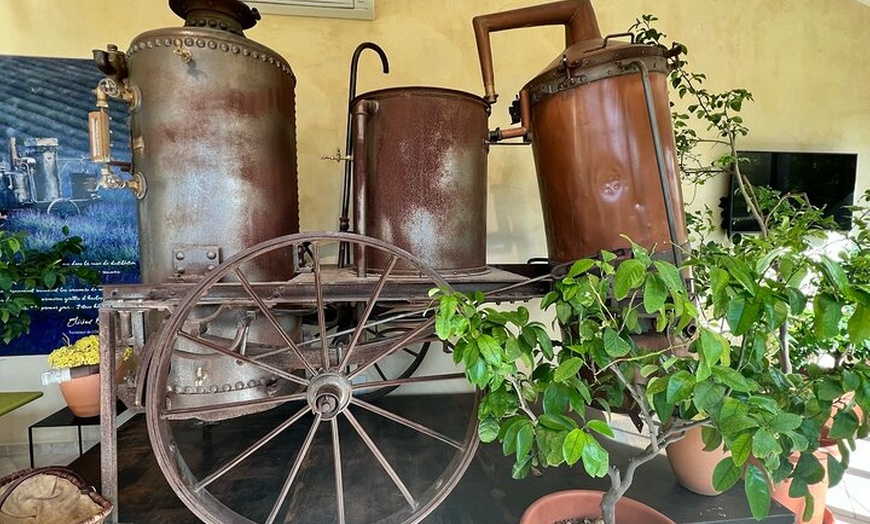 Image 5: Aix en Provence : Champs de Lavande & Usine L'Occitane